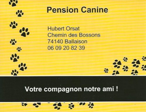 Pension Canine